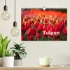 Tulpen (Wandkalender 2027 DIN A4 quer), CALVENDO Produktbild-Vorschau 3