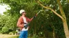 Cordless Pole Saw UniversalChainPole 18 Produktbild-Vorschau 4
