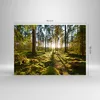 Bilder auf glas - Wald Baum Natur - 70x50cm - Glasbilder - Produktbild-Vorschau 3