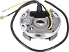 Statore alternatore 6V 17W in senso orario per Puch Maxi Anteprima dell’immagine prodotto 3