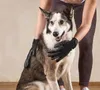 5-Finger Fellpflege Handschuhe Hund & Katze Set links + Produktbild-Vorschau 8