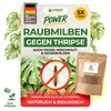 Power Raubmilben gegen Thripse – Streuware mit 5x Tüten für Produktbild-Vorschau 1