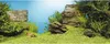 Rückwand Poster JUWEL Pflanzen/Felsen 60x30 cm Produktbild-Vorschau 2
