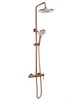Set Doccia Rea Js-H7023Brg Rame Spazzolato Anteprima dell’immagine prodotto 5
