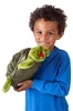 Folkmanis Handpuppe Schildkröte 2021 Produktbild-Vorschau 3