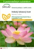 SAFLAX - Indický lotosový kvet - Nelumbo nucifera   - 8 Náhľad obrázku produktu 1