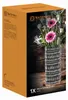 Nachtmann Ethno Vase, Vase mit runder Form, Glas, Produktbild-Vorschau 17