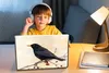 MuchoWow® Laptop Aufkleber Sticker Cover Amsel - Vogel - Produktbild-Vorschau 3