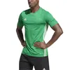 Adidas Koszulki Tabela 23 Jersey, IA9147, Rozmiar: 176 Podgląd zdjęcia produktu 6