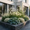Vasteplant - Borderpakket - Wit - Diversen - Soorten en Voir les images du produit 1