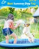 A girl and a dog are playing in a splash pool in a backyard. Produktbild-Vorschau