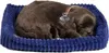Perfect Petzzz Chocolate Labrador 96231 Podgląd zdjęcia produktu 3