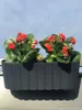 Prosperplast 4.9l Boardee Collection 38.3x21.2x13 Cm Produktbild-Vorschau 10