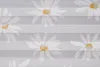 Plissee Printed Maßanfertigung Klemmfix Farbe: Weiß Motiv Produktbild-Vorschau 2