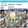 SAFLAX - Zestaw prezentowy - Peyotl Cactus - 20 Nasiona - Z Podgląd zdjęcia produktu 10