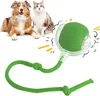 Interaktives Katzenball Spielzeug - Katzenspielzeug Produktbild-Vorschau 1