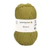 Schachenmayr Bravo, 50 g de fil à tricoter Grashuepfer Voir les images du produit 1