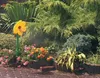 Neustanlo | Rasensprinkler Tanzende Blume | 2er Pack | Produktbild-Vorschau 5