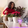 Legami Glühbirne Tischlampe - Schmetterling Produktbild-Vorschau 6