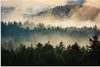 ARTland Wandbild Alu für Innen & Outdoor Wald im Nebel Produktbild-Vorschau 1