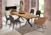 SIT Möbel Tischplatte 200 x 100 cm | Plattenstärke 50 mm | Produktbild-Vorschau 15