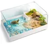 Kruger Meier Turtle Shell Garden - akwarium dla żółwia z Anteprima dell’immagine prodotto 6