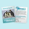 Pinguin, 30 cm, Plüsch, 1 Stück Produktbild-Vorschau 7