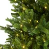 Nordmann Kunstkerstboom LED H210 D150 cm Everlands Productafbeelding-voorbeeld 5