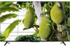 75T69C (189.3 cm (75 Zoll), schwarz, UltraHD/4K, Triple Produktbild-Vorschau 21