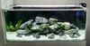 Aquarium Sand, Dolomit 0,5-1 mm Weiss 2 kg Produktbild-Vorschau 5