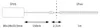 Paulmann Full-Line COB Slim, Universalstreifenleuchte, Produktbild-Vorschau 2