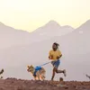 Ruffwear Trail Runner Leine Blue Pool Produktbild-Vorschau 5