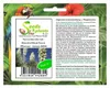 5x Yucca baccata var. Baccata Blaue Yucca Pflanzen - Samen Produktbild-Vorschau 1
