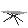 A modern dining table with a gray tabletop and black spider-like legs, presented against a white background. Anteprima dell’immagine prodotto