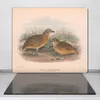 Coloray Schneidebrett Herdabdeckplatte 60x52 cm Produktbild-Vorschau 2