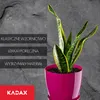 KADAX Pot de fleurs en plastique "Agen", pot avec soucoupe. Voir les images du produit 7