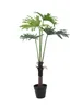 EUROPALMS Splitphilodendron, pianta artificiale, 120cm Anteprima dell’immagine prodotto 1