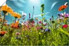 ARTland Poster Buntes Blumenfeld Größe: 120x80 cm Produktbild-Vorschau 1