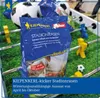Kiepenkerl Kicker-Stadionrasen 1 kg Klotzbeutel Profi-Line Produktbild-Vorschau 5
