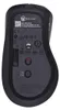 Lenovo Professional - Maus - ergonomisch - optisch blau Produktbild-Vorschau 7