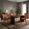 ML-Design jedálenské stoličky sada 6 oranžových, obývacie Náhľad obrázku produktu 9