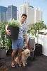 A man and his dog on a rooftop garden with city buildings in the background. Produktbild-Vorschau