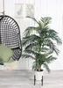 Palme Areca Golden Cane, 150 cm - Groen Productafbeelding-voorbeeld 5