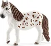 Schleich® 42518 Schleich® Horse Club 42518 Mia & Spotty Anteprima dell’immagine prodotto 16