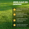 BEST SPORTING Power Badminton-Set I Federball-Set mit 2 Produktbild-Vorschau 7