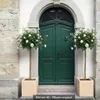 Rose ‘Kristall’ - Hochstamm | weiße Duftrose für Garten & Produktbild-Vorschau 2