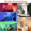 LZQ 60W LED stropní světlo stmívatelné, RGB stropní světlo Náhled obrázku produktu 8