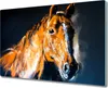 Coloray Herdabdeckplatte 80x52 cm Schneidebrett Produktbild-Vorschau 1