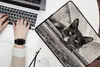 MuchoWow® Laptop Hülle 15 Zoll Nahaufnahme einer Katze Produktbild-Vorschau 2