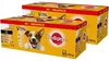 Pedigree 40x 100g - Selección para adultos, en salsa Vista previa de la imagen del producto 1